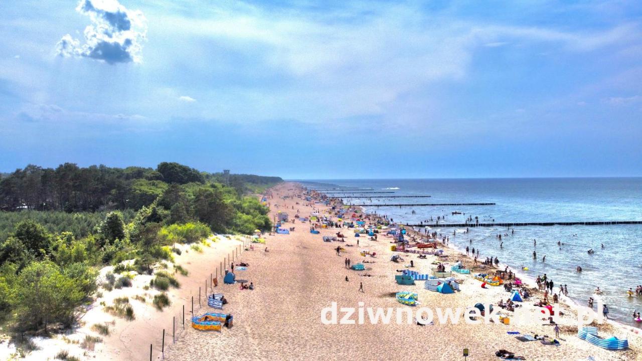 Sofia Διαμέρισμα Dziwnówek Εξωτερικό φωτογραφία